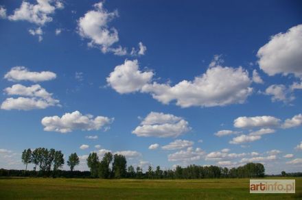 ŚWINIARSKI Marcin | Łąki sieradzkie (2005)