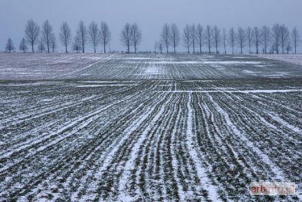 KLUCZYŃSCY Jola i Franciszek | Przed zmierzchem (2009)