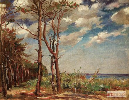 ŻURAWSKI Stanisław | Pejzaż nadmorski