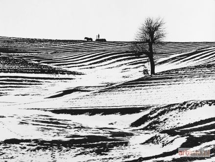 BUCZKOWSKI Janusz | Early Spring