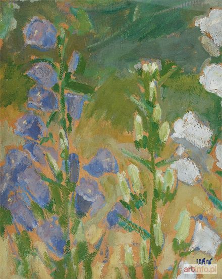 WEISS Wojciech | Campanule, 1908