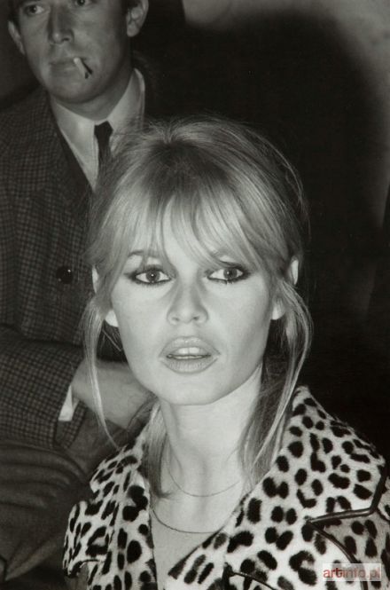 CANDE Daniel | Brigitte Bardot