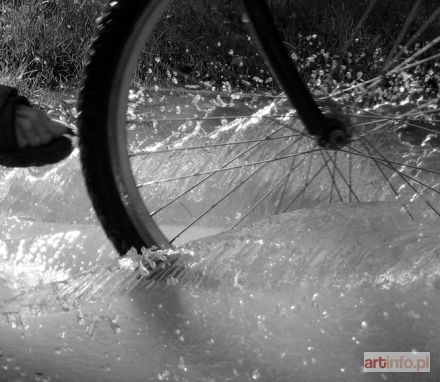 ŚWIĘCICKA Paulina | Splash (2010)