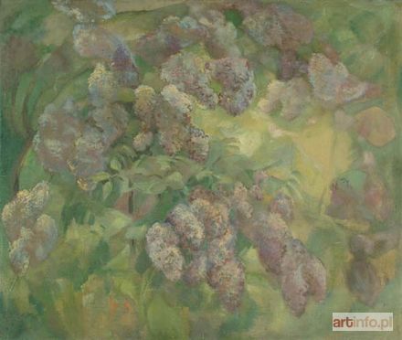 ŻABOKLICKI Wacław | BZY