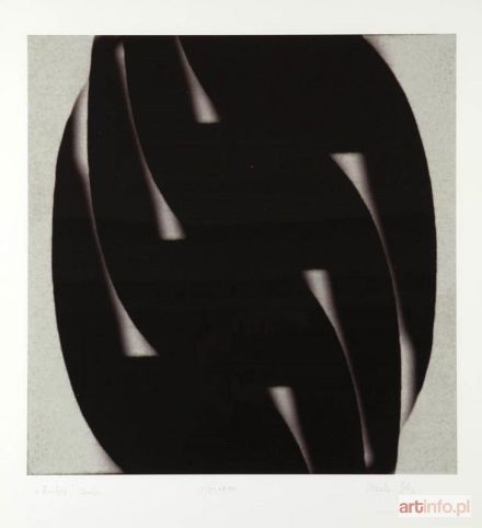 ŚLIZ Urszula | Rotor, 2008 r.
