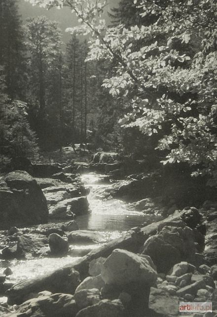 WIECZOREK Antoni | Spring in Strążyska Valley