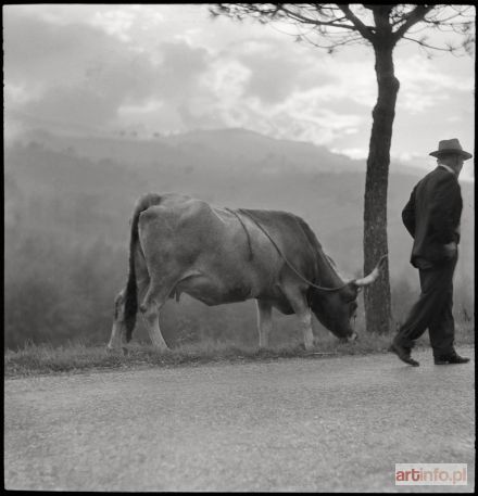 PLEWIŃSKI Wojciech | TOSKANIA, Italia 1957