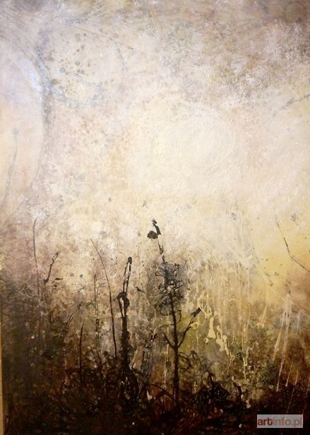 ŻAK Katarzyna | Nów, 2016
