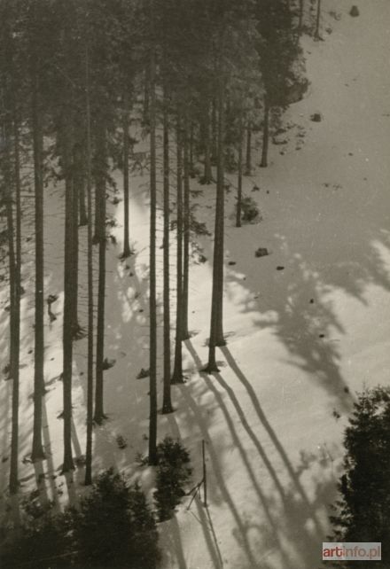 CHOMĘTOWSKA Zofia | Zima (Zakopane)