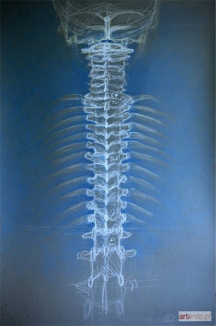 ORTENBURGER Paulina | I miss your columna vertebralis, 2015 r.