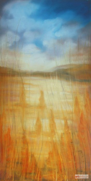 ŚWIGULSKA Mariola | Cisza na prerii, 2018