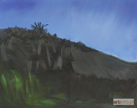 SIUDEJA Piotr | Pejzaż I, 2014