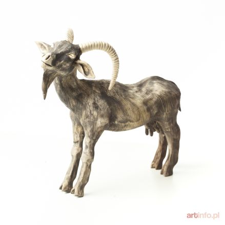 ŚLIWA Aneta | Koza, 2017