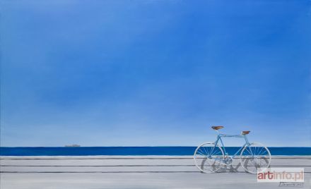 ŚRODOWSKA Katarzyna | Rower, 2017 r.