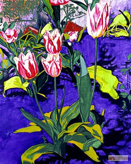 SZAMBORSKI Wiesław | BIAŁE TULIPANY, 1994