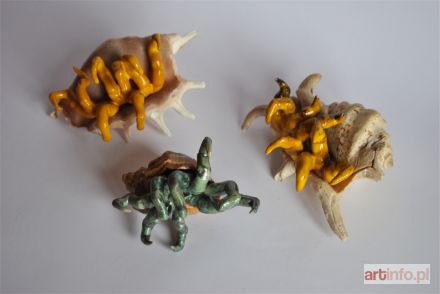 ŚLIWA Aneta | Krabiki, 2017