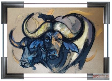 WISZNIEWSKA Aleksandra | African buffalo, 2018