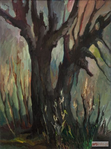 KOZERA Andrzej | Wierzby