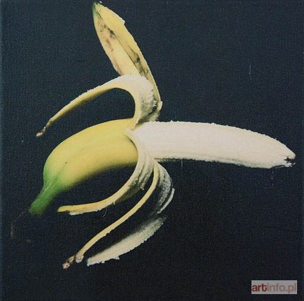 NATALIA LL (Natalia Lach-Lachowicz) | Banan, 1995