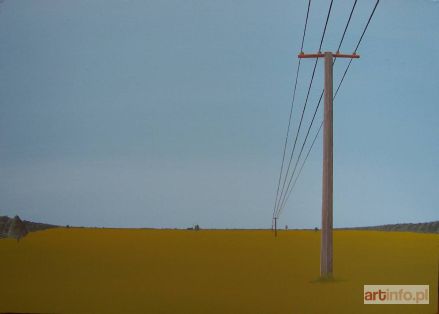 CAMPIO  | Natural, 2013