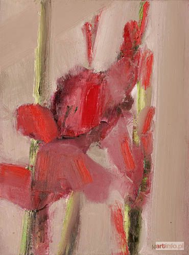 WYWIÓRSKI Sebastian | Gladiola z cyklu Rośliny, 2005 r.