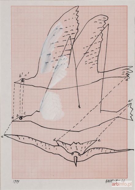 NATALIA LL (Natalia Lach-Lachowicz) | Z cyklu: Ptaki Wolności, 1999 r.