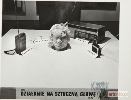 Grupa KwieKulik | Działanie na sztuczną głowę, 1981 r.