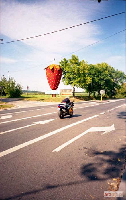 RYKACZEWSKI Tomasz | DROGA BARDZO KRAJOWA 61, 2008