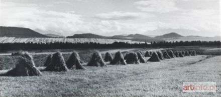 BANKIEWICZ Czesław | GORCE - ŻNIWA, 1956