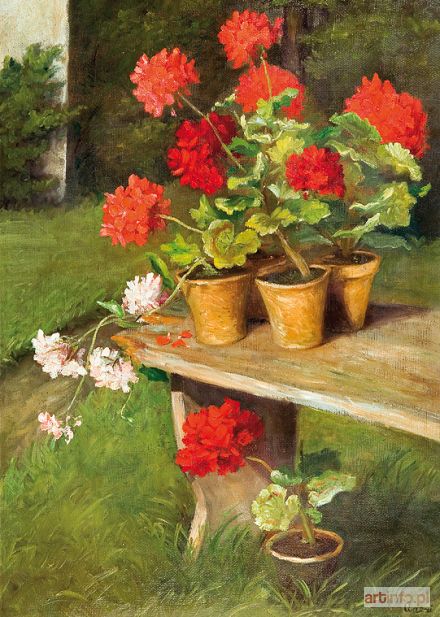 ANERI (WEISSOWA Irena) | PELARGONIE, 1918