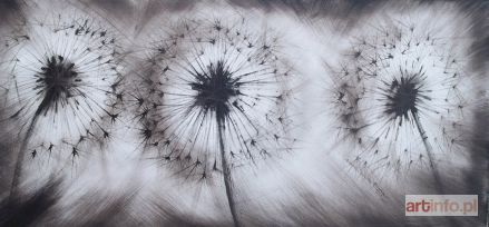 ŚWIGULSKA Mariola | Dmuchawce, 2012