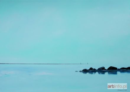 ŚRODOWSKA Katarzyna | Lustro wody, 2017r.