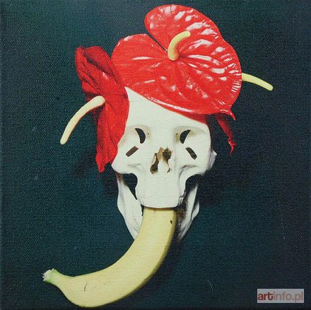 NATALIA LL (Natalia Lach-Lachowicz) | Czaszka / Skull, 1995