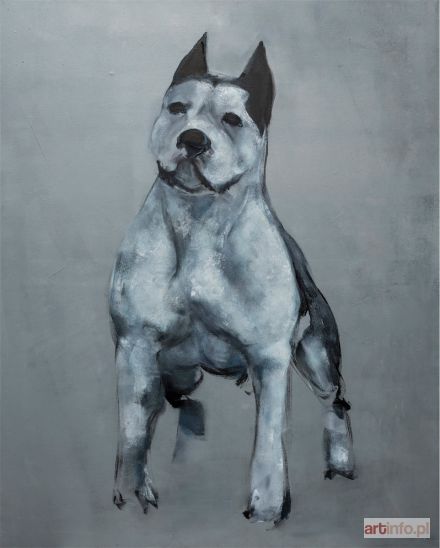 PAWŁOWSKA Weronika | Buldog, 2015