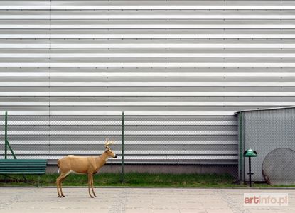 BREGUŁA Karolina | Warszawa, 2004/2005