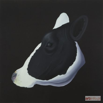 CAMPIO  | Cow head, 2017 r.