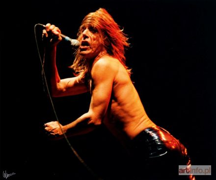 LEFRANC David | Iggy Pop