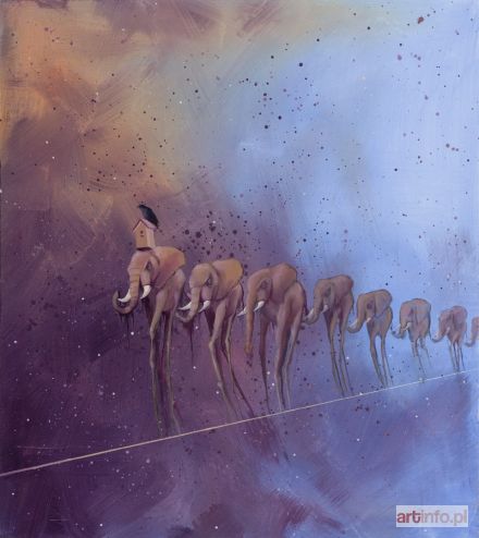 CAMPIO  | Powrót słoni Salvadora, 2014 r.