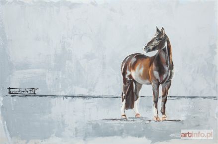 ŚRODOWSKA Katarzyna | Koń, 2015