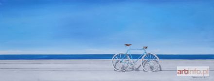 ŚRODOWSKA Katarzyna | I co dalej?, 2017r.