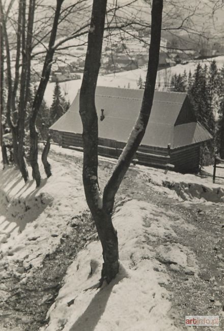 WIECZOREK Antoni | Early Spring on Gubałówka Mount