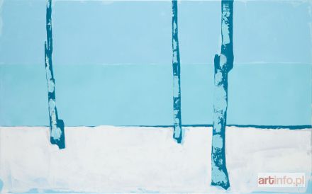 ŚRODOWSKA Katarzyna | Zima, 2016 r.