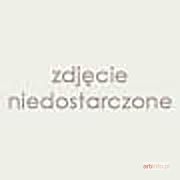 AXENTOWICZ Teodor | PORTRET MŁODEJ DAMY Z CZARNĄ KOKARDĄ WE WŁOSACH I KOŁNIERZEM Z LISA