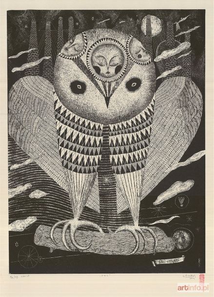 OTECKI Wojciech Kołacz | OWL, 2014