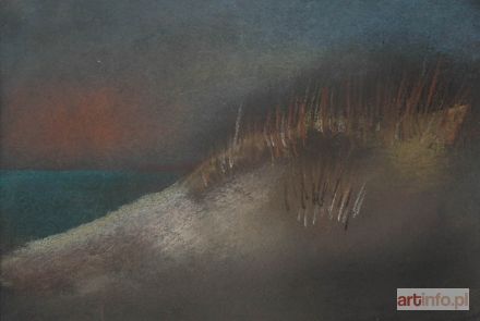 KOWALSKA Danuta | Wydma, 2009