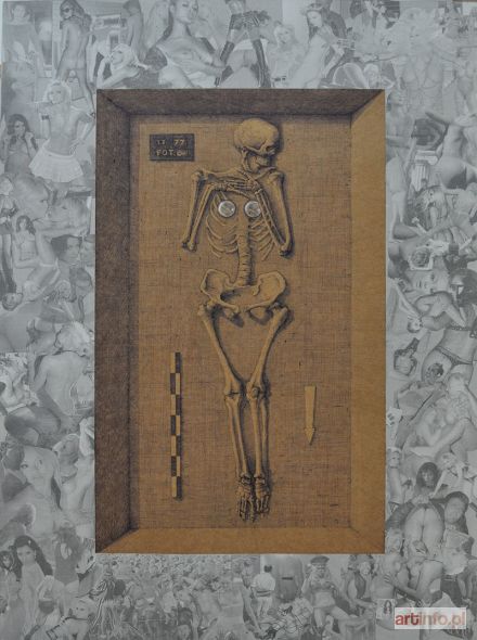ŻYGADŁO Andrzej | Implantka, 2014