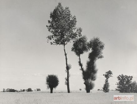 SCHLABS Bronisław | The Landscape of Wielkopolska