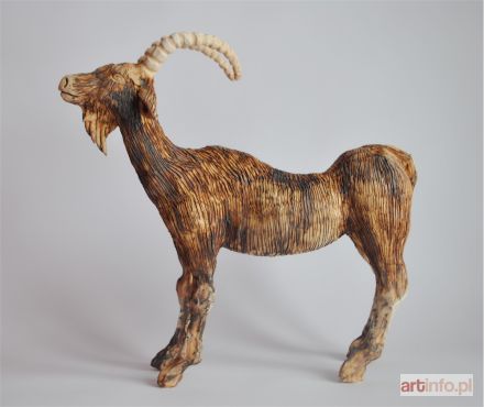 ŚLIWA Aneta | Kozioł, 2018