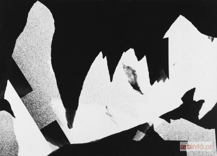 SCHLABS Bronisław | Photogram 38/57